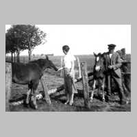 055-0009 Margarete Bludau und August Glang bei den Fohlen am 03. Juni 1934 .jpg
